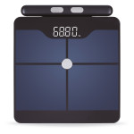 ΖΥΓΑΡΙΑ SMART ΜΕ ΛΙΠΟΜΕΤΡΗΣΗ AMILA FITBODY 8